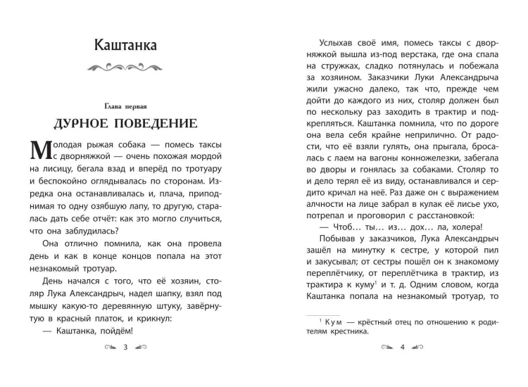 Каштанка. Рассказы