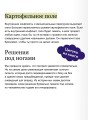 Без надрыва. Стратегии лидеров по созданию бизнеса и сохранению себя