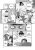 555.webp
