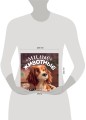 Милые животные. Первая книжка малыша