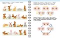 Гимнастика. Развиваем координацию. 3-5 лет