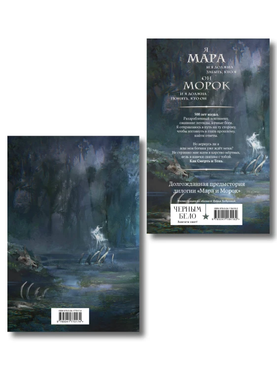 Мара и Морок. 500 лет назад (книга+тетрадь)