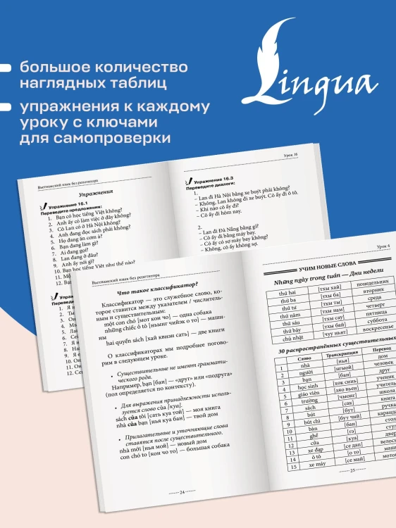 Вьетнамский язык без репетитора. Самоучитель вьетнамского языка