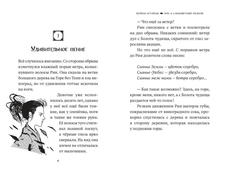 Рин с Горы без Тени