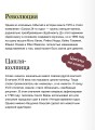 Манга. Полный гид по японским комиксам