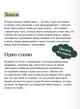 Финансист. Вечные истории