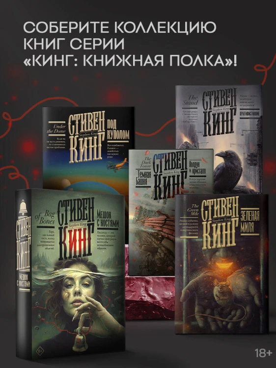 Мешок с костями
