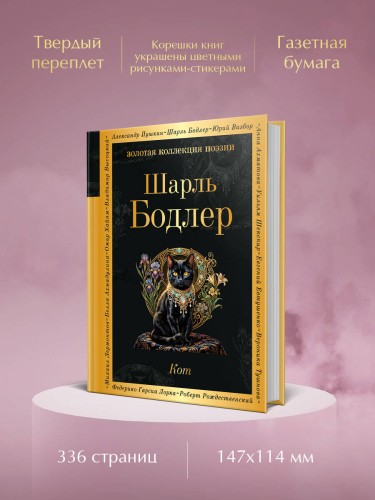 Кот