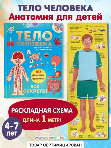 Тело человека. Все секреты. Большая интерактивная 3D-энциклопедия