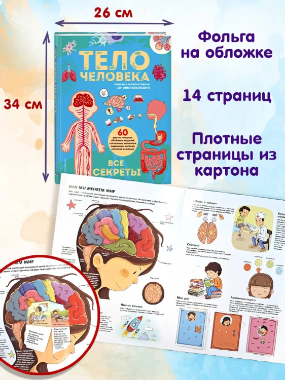 Тело человека. Все секреты. Большая интерактивная 3D-энциклопедия