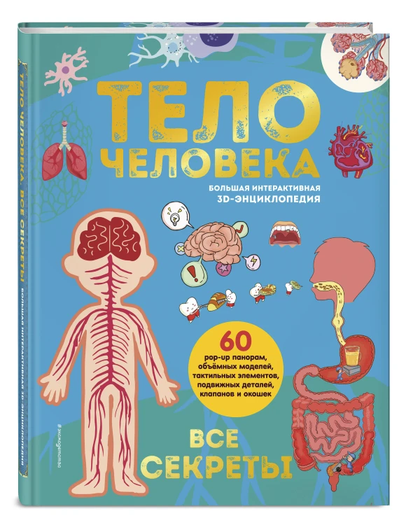 Тело человека. Все секреты. Большая интерактивная 3D-энциклопедия