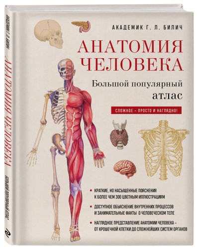 Анатомия человека: большой популярный атлас (новое оформление)