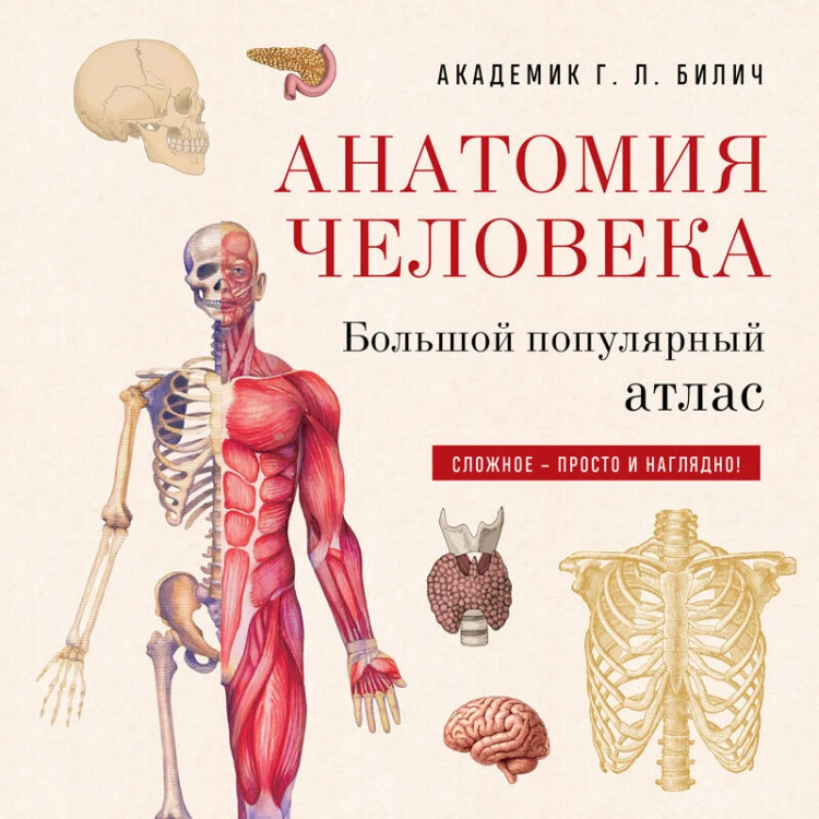 Анатомия человека: большой популярный атлас (новое оформление)