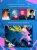 4.webp