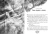 555.webp