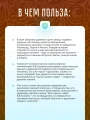 Вкус дикого мёда