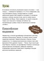 Мифы тюрков. От Златовласой Умай и Урал-батыра до исполина Алпамыша и Пегого Быка