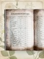 Практическая книга травницы. Сбор, заготовка и ритуалы с лекарственными растениями (Bruk.Herbs)