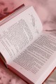 Путешествие с Фениксом. Книга 1