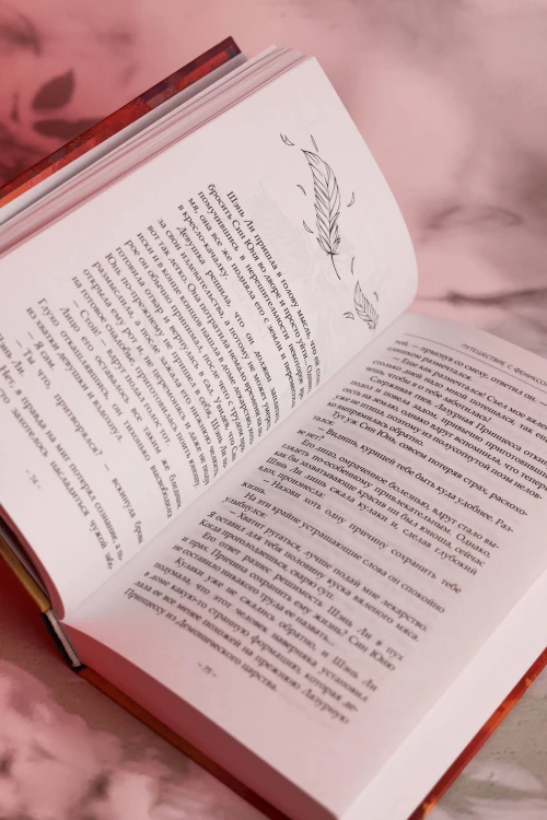 Путешествие с Фениксом. Книга 1
