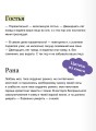 Кармилла. Кружевная классика