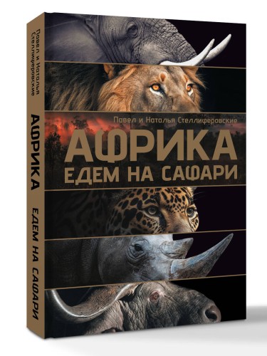 Африка. Едем на сафари