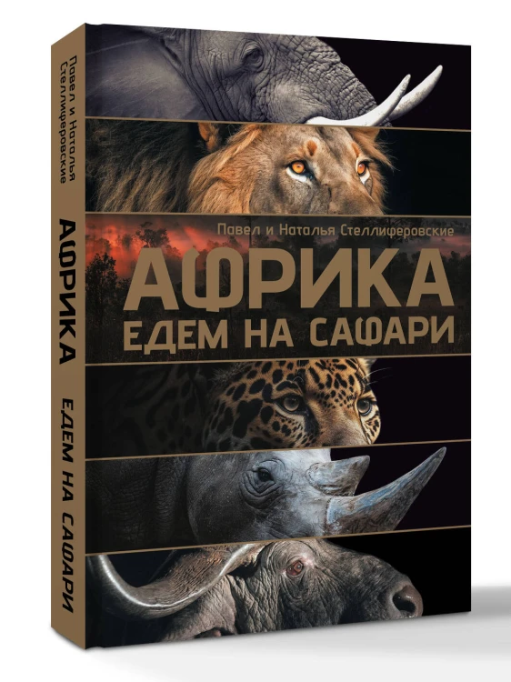 Африка. Едем на сафари