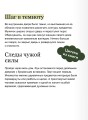 Второстепенный мастер. Том 1