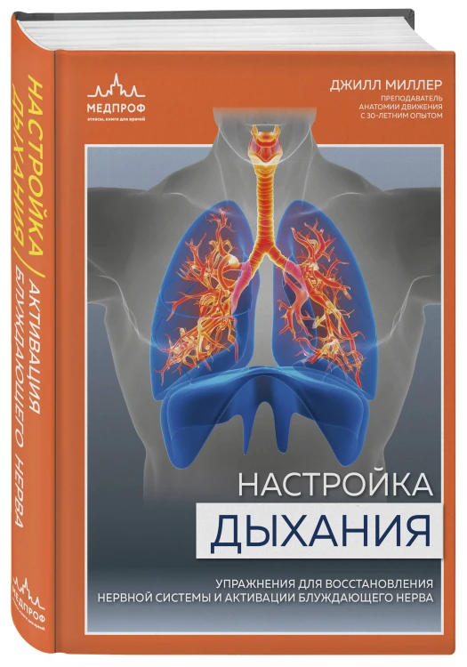 Настройка дыхания. Упражнения для восстановления нервной системы и активации блуждающего нерва
