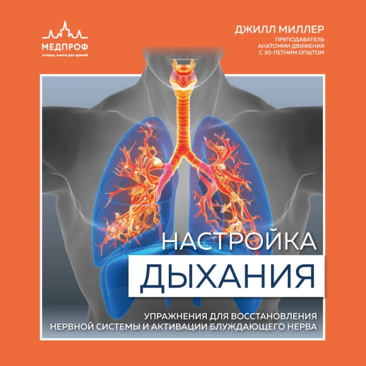 Настройка дыхания. Упражнения для восстановления нервной системы и активации блуждающего нерва