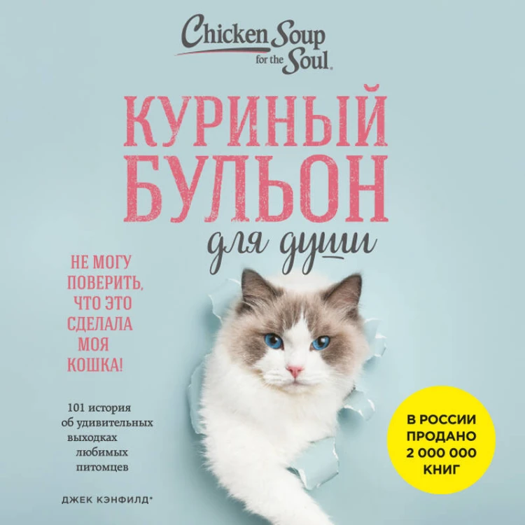 Куриный бульон для души. Не могу поверить, что это сделала моя кошка! 101 история об удивительных выходках любимых питомцев