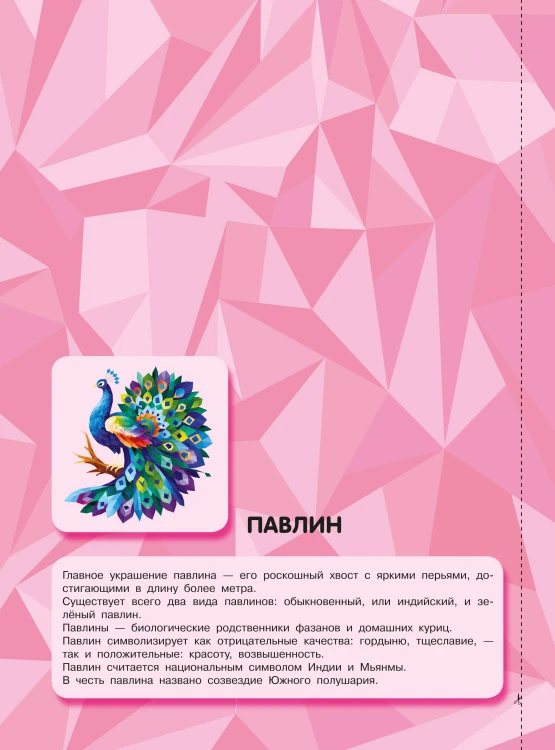 Птицы