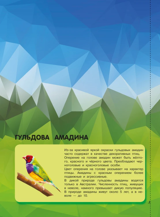 Птицы