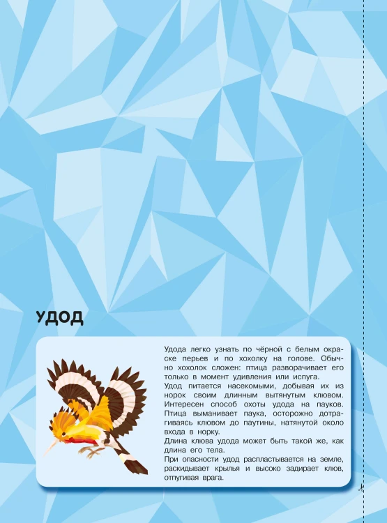 Птицы