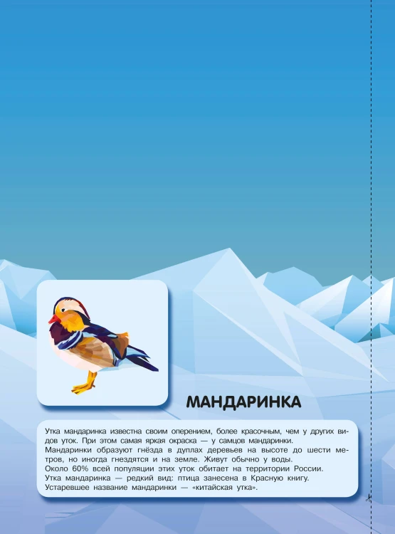 Птицы