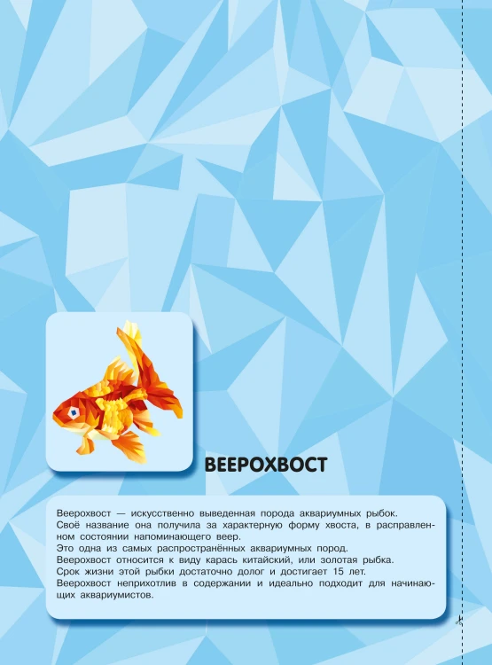 Подводный мир