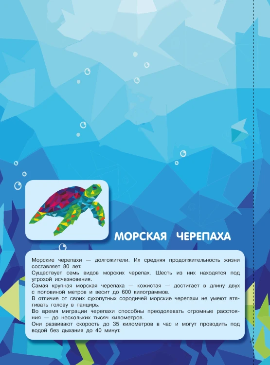 Подводный мир