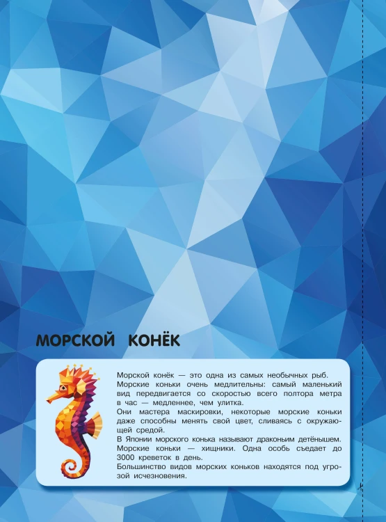 Подводный мир