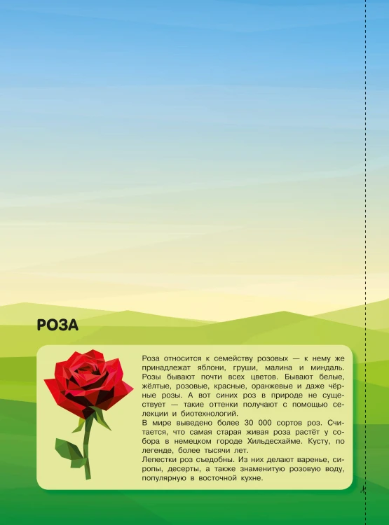 Магия цветов