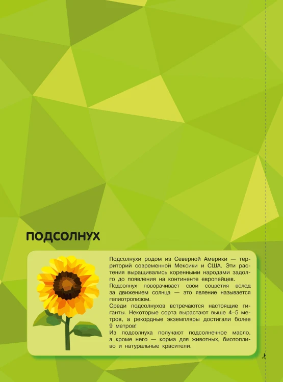 Магия цветов