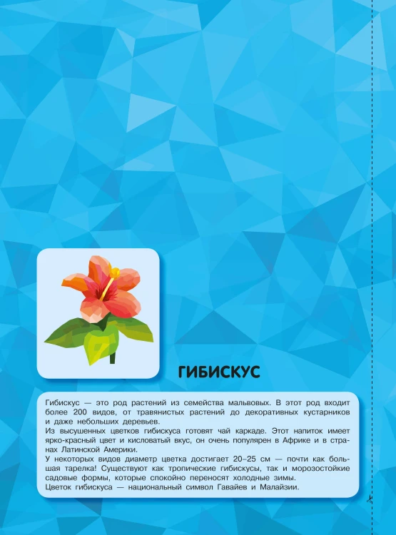 Магия цветов