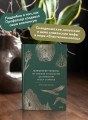 Мифология Толкина. От эльфов и хоббитов до Нуменора и Ока Саурона