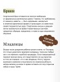 Это Спарта! Младенцы из яйца, жертвенные козлы и страсти потомков Геракла