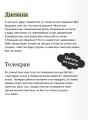 1984. Вечные истории