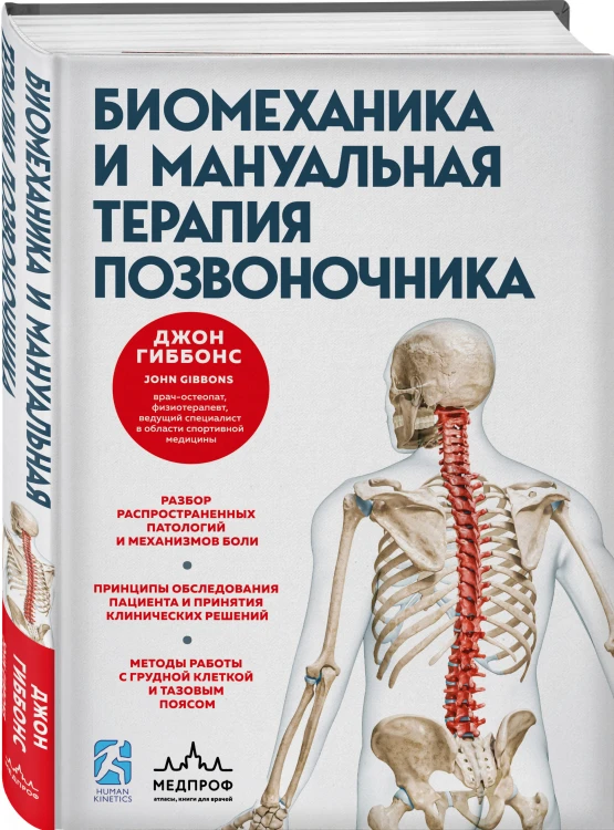 Биомеханика и мануальная терапия позвоночника