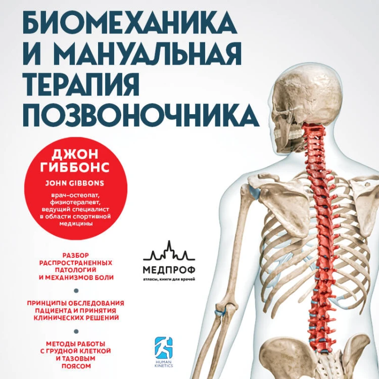 Биомеханика и мануальная терапия позвоночника