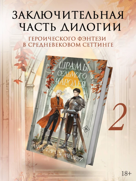 Шрамы седьмого чародея