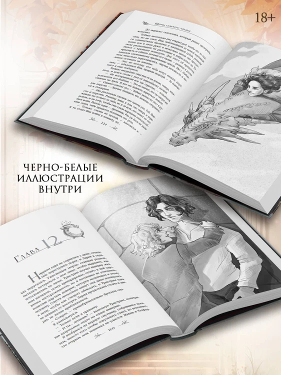 Шрамы седьмого чародея