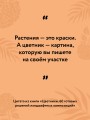 Цветники. 60 готовых решений ландшафтных композиций