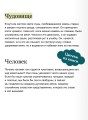 Франкенштейн, или Современный Прометей. Коллекция Аны Награни